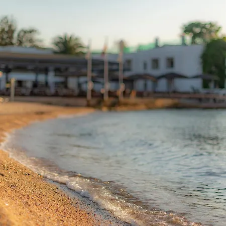Samara Bodrum Ultra 5* トルバ